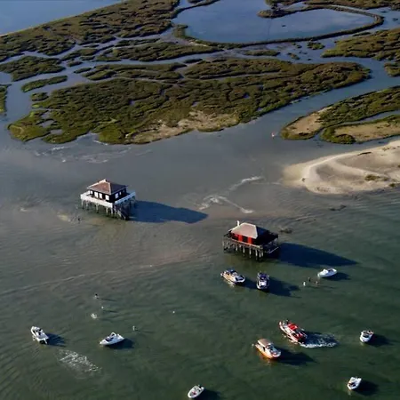 Les Pignots T2 Bassin Arcachon