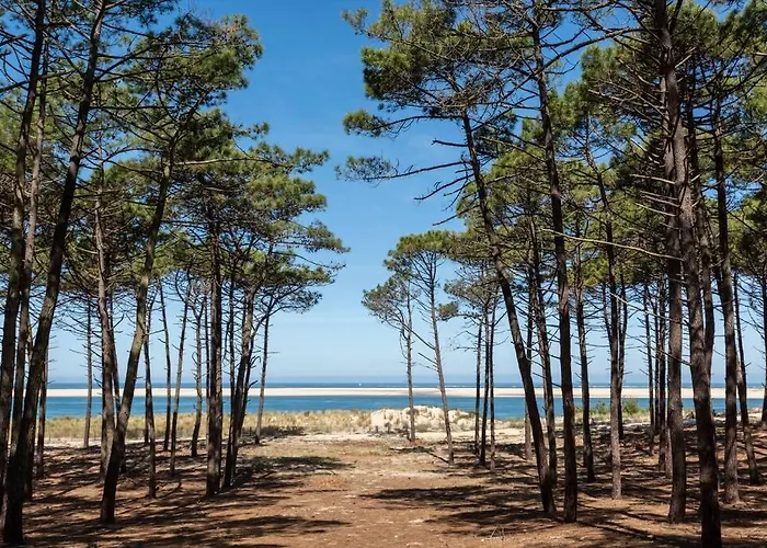 Les Pignots T2 Bassin Arcachon Сasa de vacaciones Gujan-Mestras
